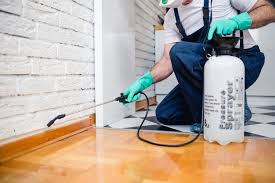 Best Commercial Pest Control  in Doraville, GA